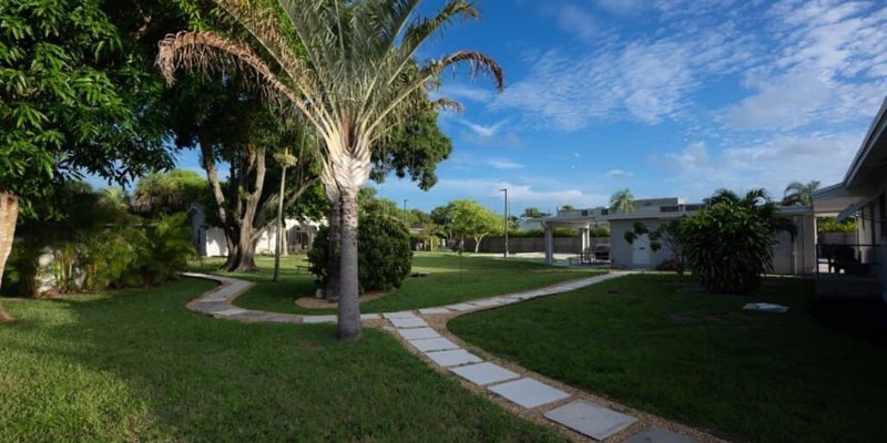 A serene outdoor setting with a winding path, lush green lawns, and tall trees under a bright blue sky, perfect for peaceful walks.