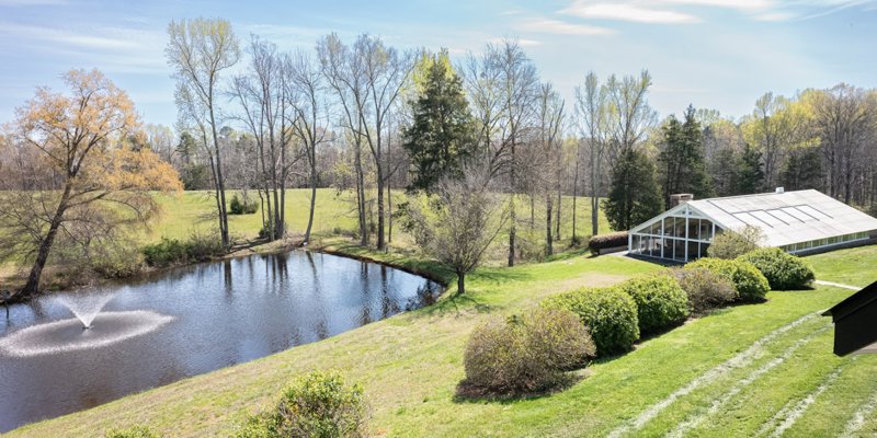 A serene landscape featuring a peaceful pond with a fountain, surrounded by lush greenery, trees, and a sunlit glasshouse. A tranquil, natural setting.