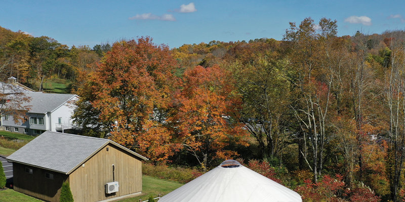 A charming circular yurt and a small wooden cabin sit on a peaceful road surrounded by vibrant autumn trees, under a clear blue sky.