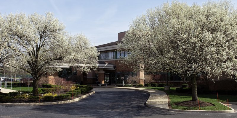 A peaceful building entrance surrounded by beautiful blooming trees with white flowers, a circular driveway, and well-maintained landscaping.