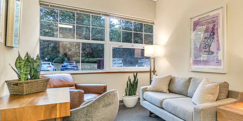 A cozy therapy room with natural light features a comfortable sofa, leather chair, desk, and plants, creating a peaceful, inviting atmosphere.