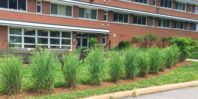 Hope House Treatment Center Residential Medical Facility Crownsville Photo1