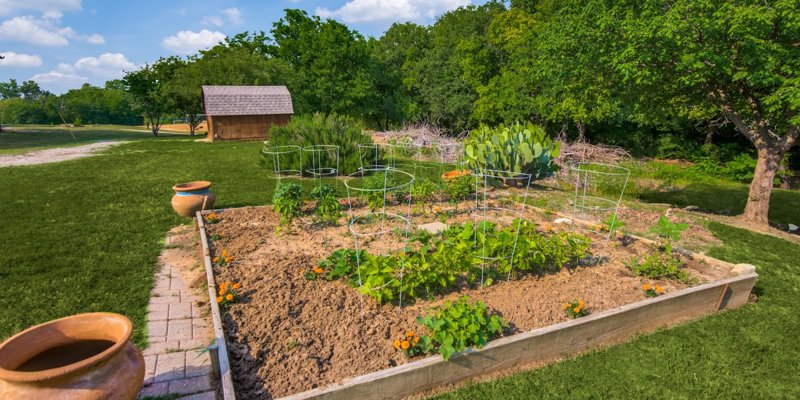 A lush garden filled with young plants and vibrant greenery, surrounded by nature and offering a peaceful spot for nurturing growth.