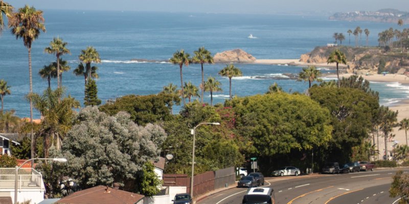 Coastal scene with palm trees, lush greenery, and a scenic beach view. The winding road below adds to the relaxed and inviting vibe.