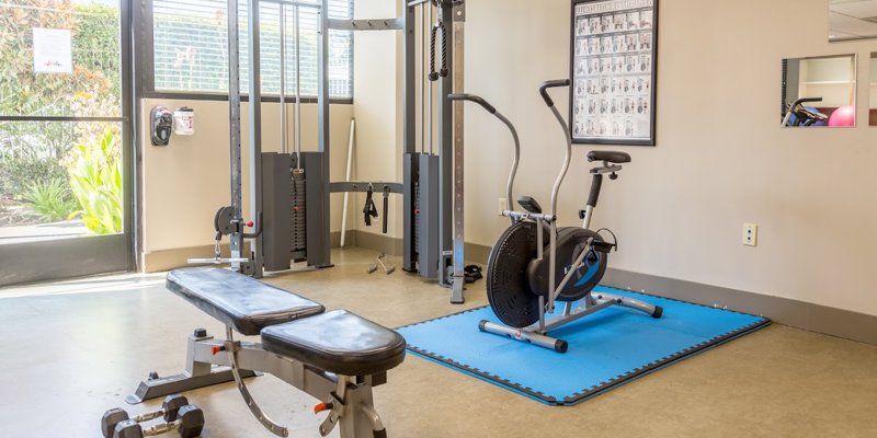  A well-equipped fitness room with natural light, featuring an exercise bike, weight bench, and multifunctional strength training machine.