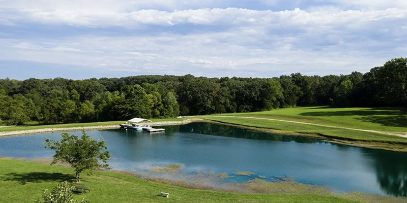  A serene view of a pond surrounded by lush green trees and grassy fields, with a small dock in the distance under a bright blue sky.