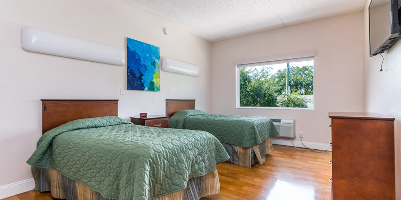 A clean and spacious room with two single beds dressed in green quilts, hardwood floors, and a large window providing natural light and a view of greenery.