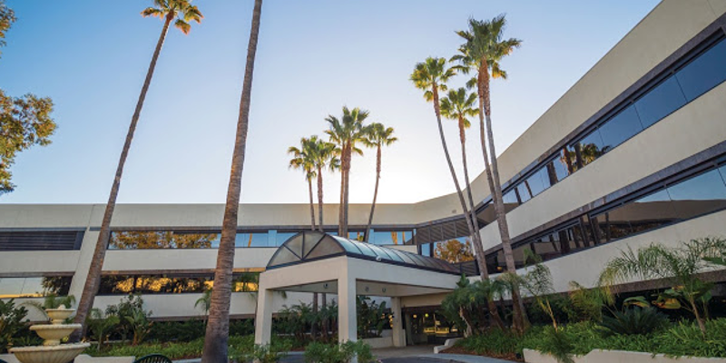 A modern, welcoming building with large windows and tall palm trees lining the entrance, creating a serene and inviting atmosphere.