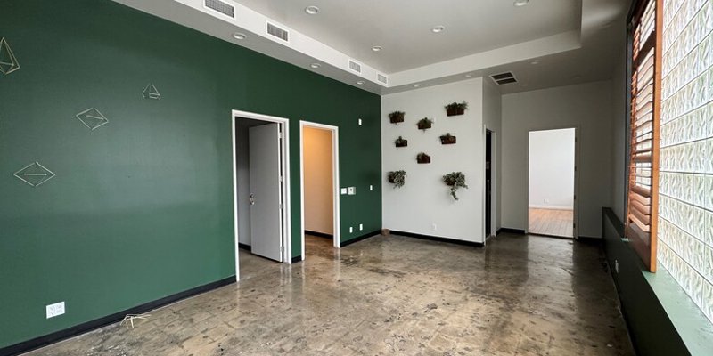  A clean, modern interior featuring green accent walls, natural lighting, concrete floors, and minimalist plant décor on the wall for a fresh ambiance.