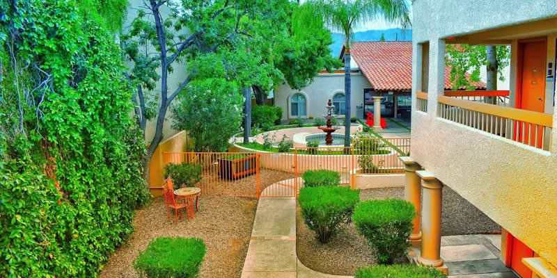 A vibrant courtyard featuring lush greenery, cozy seating, and a central fountain provides a peaceful setting for relaxation and reflection.