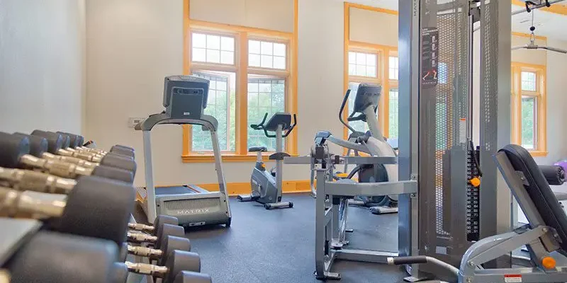 A bright and airy fitness room with large windows, equipped with a variety of exercise machines, dumbbells, and strength-training equipment.