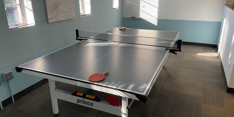  ChatGPT said: ChatGPT A bright, inviting game room with a ping pong table, paddles, and a whiteboard, providing a fun and engaging space for recreation and relaxation.