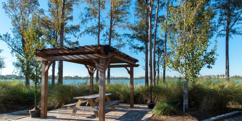 A peaceful lakeside picnic area with a wooden pergola, surrounded by tall trees and lush greenery, offering a serene retreat.