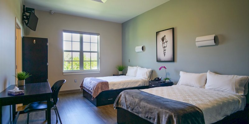 A bright, welcoming room with two cozy beds, a desk, and a large window that lets in natural light. Calming decor creates a peaceful vibe.