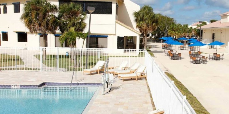  A serene outdoor area featuring a sparkling pool, comfortable lounge chairs, palm trees, and shaded tables, perfect for relaxation and socializing.