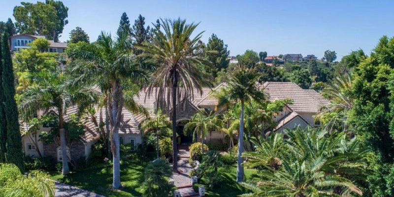 A luxurious home surrounded by lush tropical greenery and tall palm trees, offering a serene and private retreat in a vibrant, scenic setting.