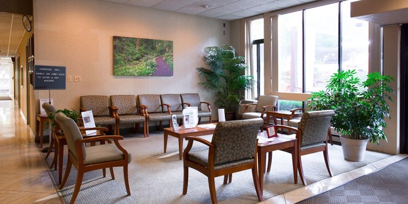 A comfortable waiting area with ample seating, natural light, and greenery, creating a calm and welcoming environment for visitors.