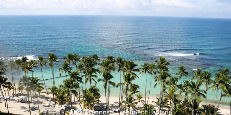 A breathtaking view of a tropical beach with clear turquoise waters, tall palm trees, and gentle waves, offering a serene and relaxing atmosphere.