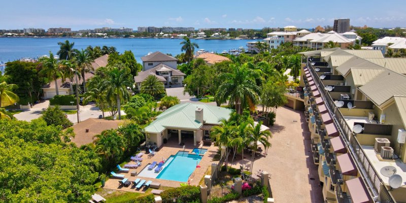 A bright aerial view of a serene pool area surrounded by palm trees, with nearby homes and a beautiful waterfront in the background.